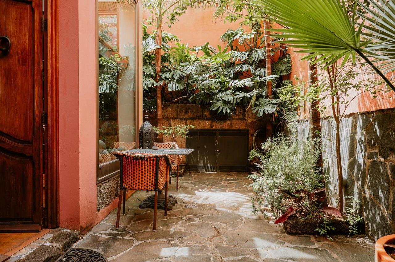 Homeforguest Rural House With Garden El Laurel Tacoronte Exterior foto